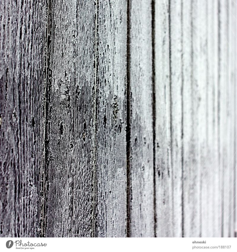 Frostig Winter Eis Mauer Wand Garten Zaun Gartenzaun Holz schwarz weiß Maserung Holzbrett Raureif Gedeckte Farben Außenaufnahme Nahaufnahme abstrakt Muster