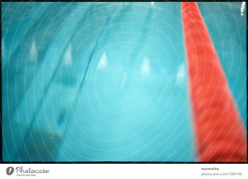 Seepferdchen Vers. A Wellness Freizeit & Hobby Sport Wassersport Schwimmlehrer Kunst Schwimmbad Öltanker Zeichen Schilder & Markierungen schaukeln tauchen nass