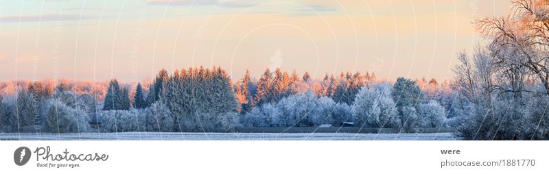 Winterlandschaft ruhig Natur Landschaft Pflanze Eis Frost Baum kalt friedlich Umweltschutz Biotop Flora und Fauna Jahreskreislauf Morgennebel Erholungsgebiet