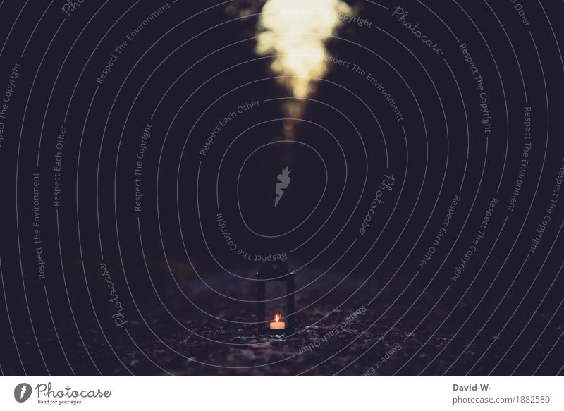 candle in the dark Kunst Kunstwerk Gemälde Umwelt Natur Herbst Winter Klima Klimawandel schlechtes Wetter Unwetter Baum Wald leuchten kalt Krieg träumen