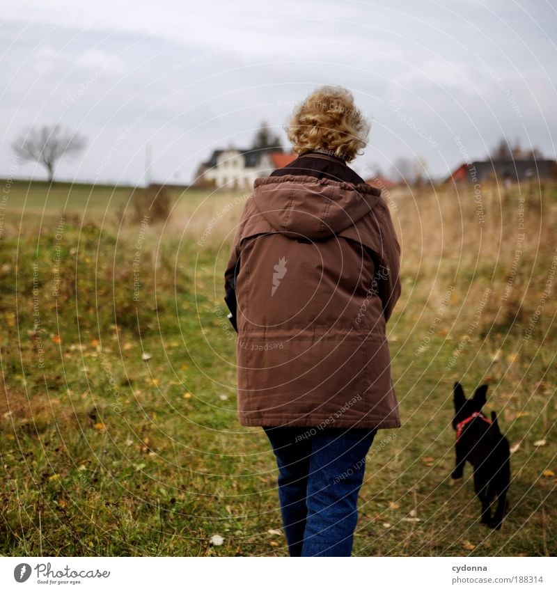 Spaziergang Leben Wohlgefühl Erholung ruhig wandern Mensch Weiblicher Senior Frau Umwelt Natur Landschaft Herbst Wiese Hund Bewegung Freiheit Freizeit & Hobby