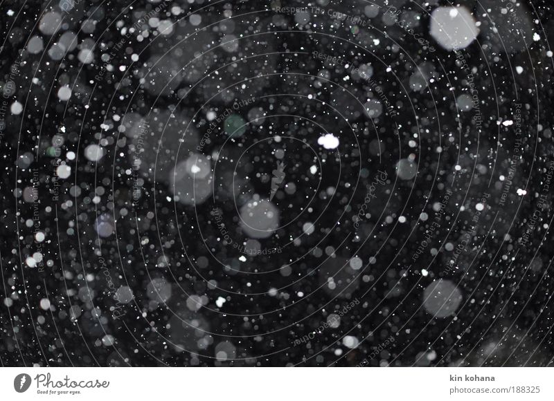 verweht (fünfzig kleine flocken) Himmel Nachthimmel Winter Eis Frost Schnee Schneefall Kristalle beobachten berühren fallen träumen kalt schwarz weiß Einsamkeit