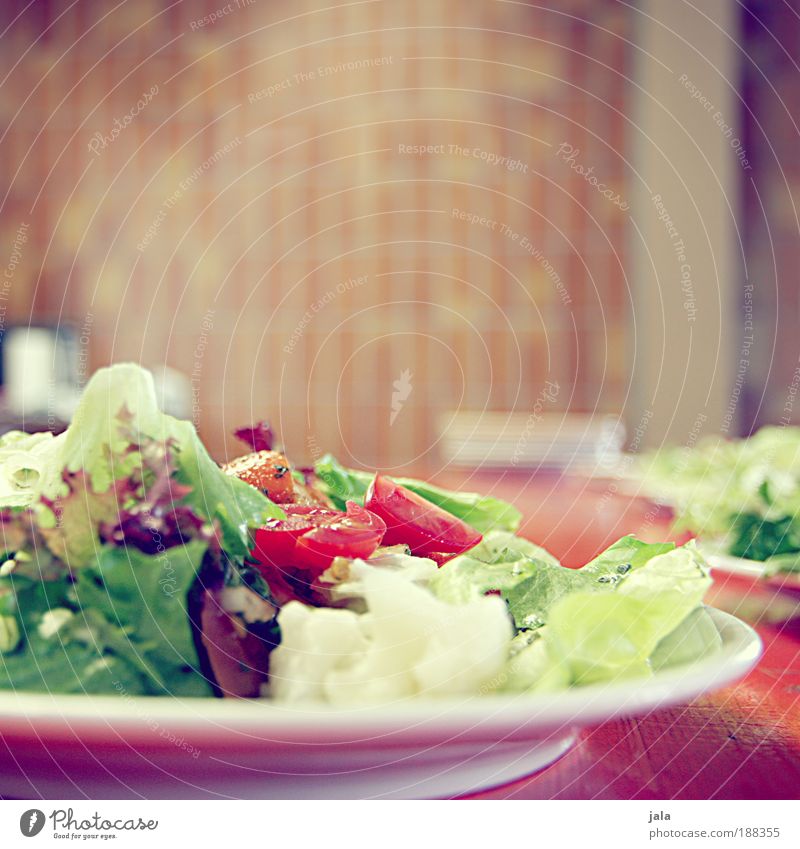 Da haben wir den Salat Lebensmittel Gemüse Salatbeilage Kräuter & Gewürze Ernährung Mittagessen Abendessen Büffet Brunch Bioprodukte Vegetarische Ernährung