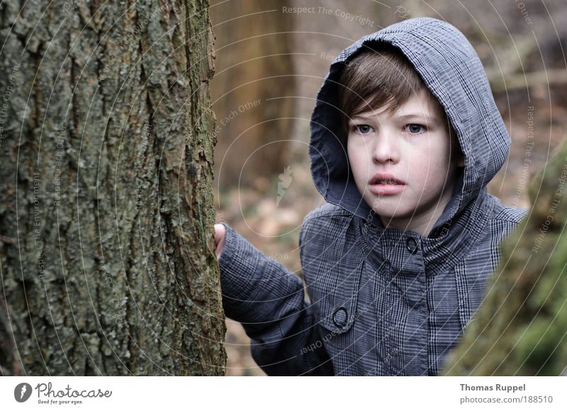 Blick nach vorne Abenteuer Mensch maskulin Junge Jugendliche 1 8-13 Jahre Kind Kindheit Natur Pflanze Baum Wald beobachten entdecken Neugier Entsetzen