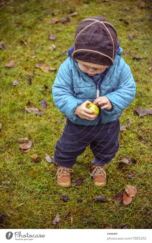 apfel Frucht Apfel Mensch Kind Kleinkind Junge Familie & Verwandtschaft Kindheit 1 Herbst blau Mütze entdecken Essen Gesunde Ernährung Gesundheit stehen klein