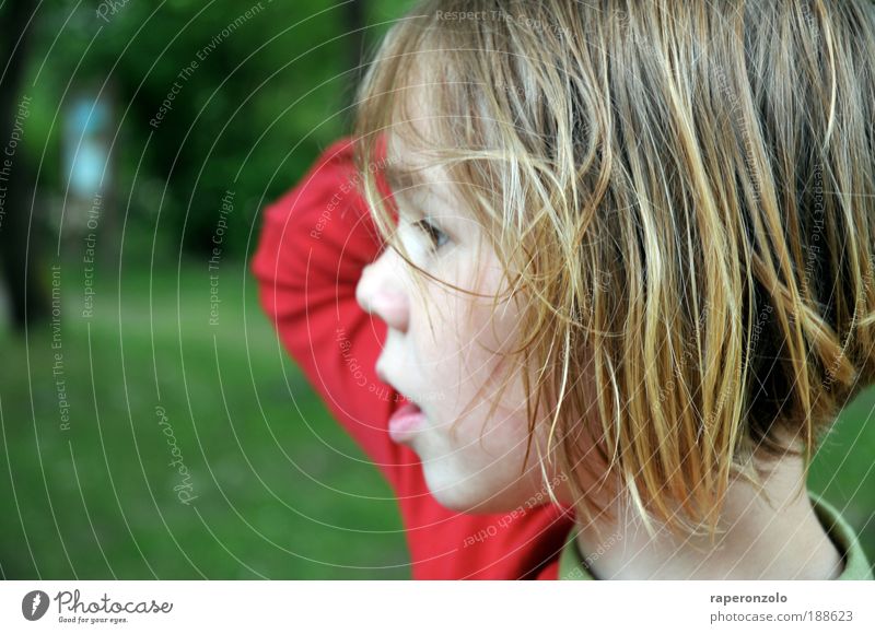 ein wimpernschlag nachdenklichkeit Kind Mädchen Kindheit Kopf Haare & Frisuren Gesicht Nase Mund Arme 1 Mensch 8-13 Jahre beobachten authentisch grün rot