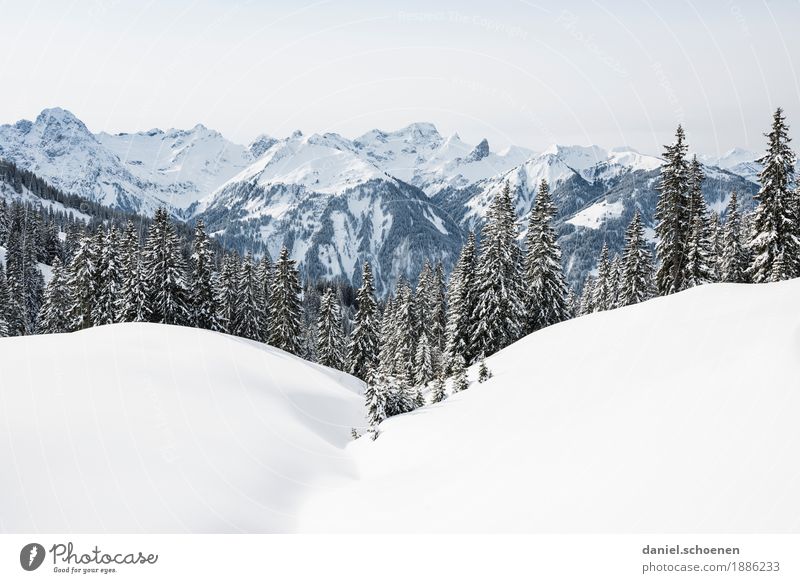 Bregenzerwald 1 Ferien & Urlaub & Reisen Winter Schnee Winterurlaub Berge u. Gebirge wandern Umwelt Natur Landschaft Alpen Schneebedeckte Gipfel hell weiß