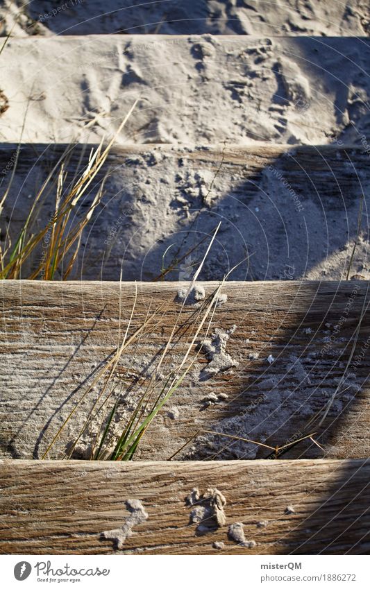 Strandleben IV Natur ästhetisch Zufriedenheit Treppe Sand Ostsee Ostseeinsel Dünengras Urlaubsfoto Urlaubsstimmung Farbfoto mehrfarbig Außenaufnahme Nahaufnahme
