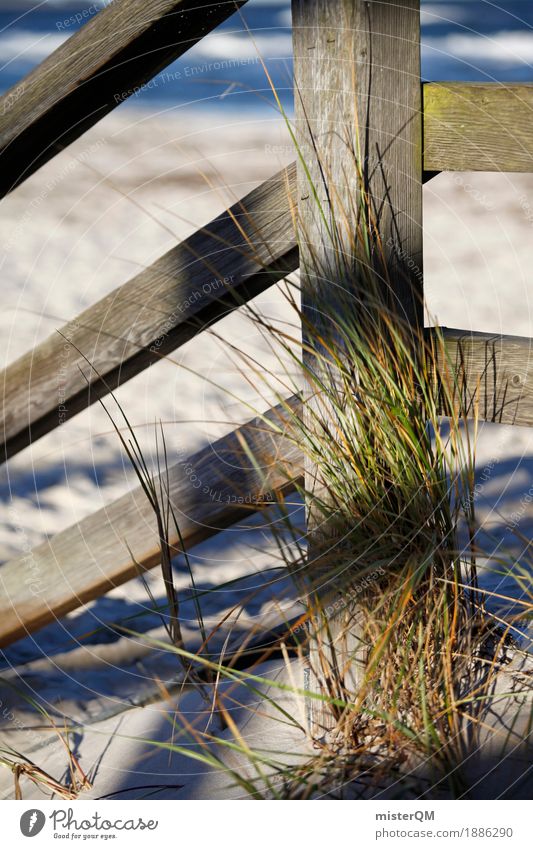 Strandleben I Natur ästhetisch Ostsee Ostseeinsel Stranddüne Sand Küste Meer Farbfoto Gedeckte Farben Außenaufnahme Detailaufnahme Experiment abstrakt