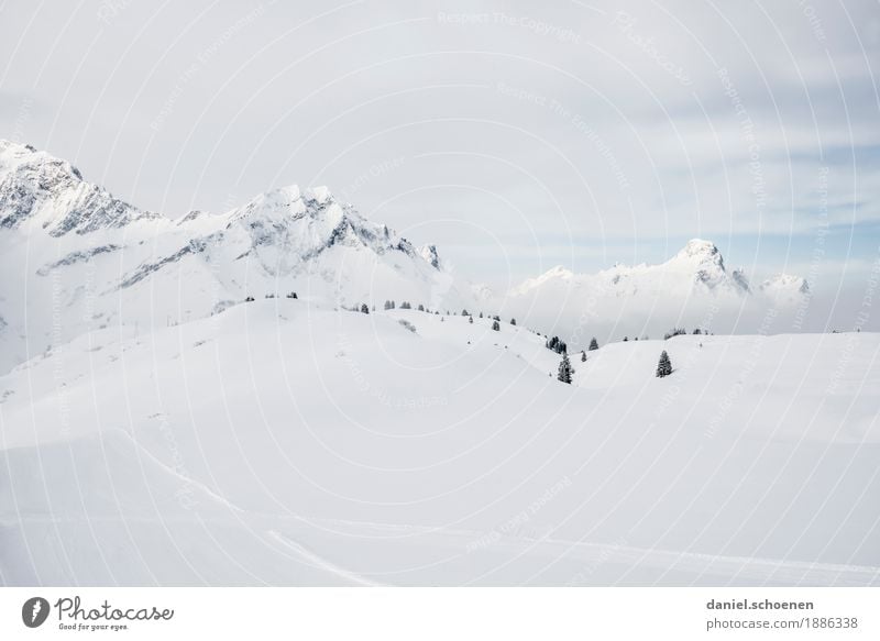 ganz schön hell Ferien & Urlaub & Reisen Tourismus Winter Schnee Winterurlaub Berge u. Gebirge Umwelt Natur Landschaft Klima Eis Frost Alpen