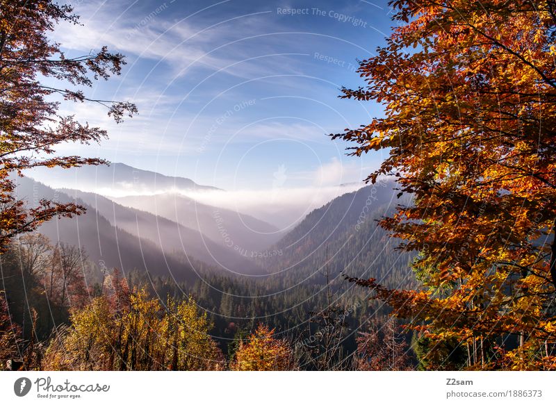 Kunterbunt Abenteuer Berge u. Gebirge wandern Umwelt Natur Landschaft Himmel Wolken Herbst Schönes Wetter Nebel Baum Sträucher Wald Alpen frisch gigantisch