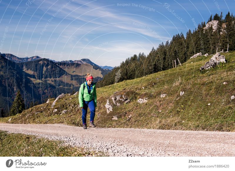 Immer weiter!!!! Abenteuer Berge u. Gebirge wandern Sport Junge Frau Jugendliche 18-30 Jahre Erwachsene Natur Landschaft Herbst Alpen Sonnenbrille Rucksack