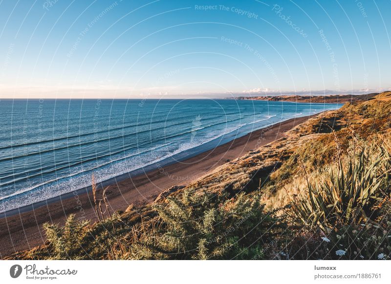 raglan Natur Landschaft Wasser Wolkenloser Himmel Sommer Küste Strand Meer Tasmanische See Freiheit Frieden Reisefotografie Neuseeland Wellen blau beige