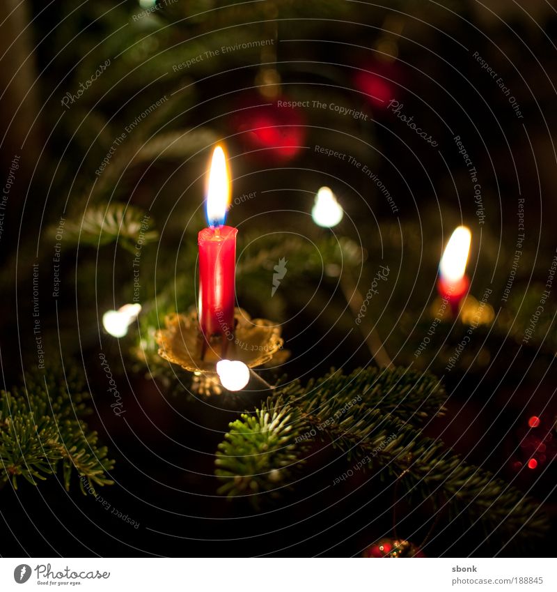 kerzenkitsch Häusliches Leben Wohnung Dekoration & Verzierung Kerze beobachten glänzend schön Kitsch Wärme Gefühle Stimmung Weihnachten & Advent Weihnachtsbaum