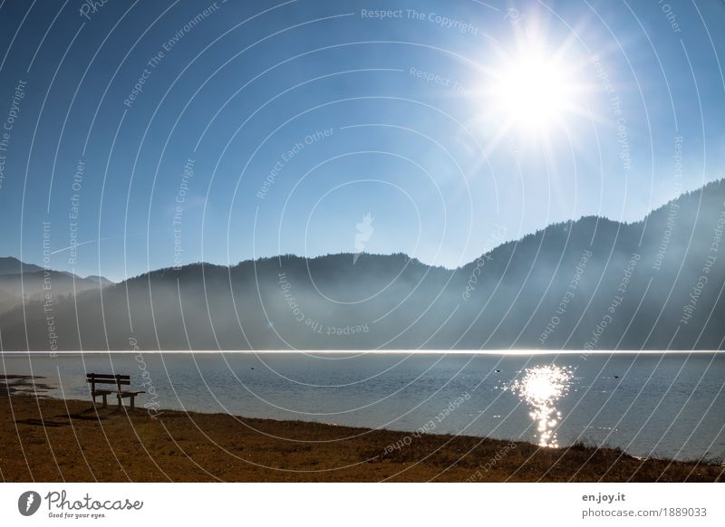 ein Platz an der Sonne Ferien & Urlaub & Reisen Umwelt Natur Landschaft Wolkenloser Himmel Sonnenlicht Herbst Schönes Wetter Wiese Berge u. Gebirge Seeufer