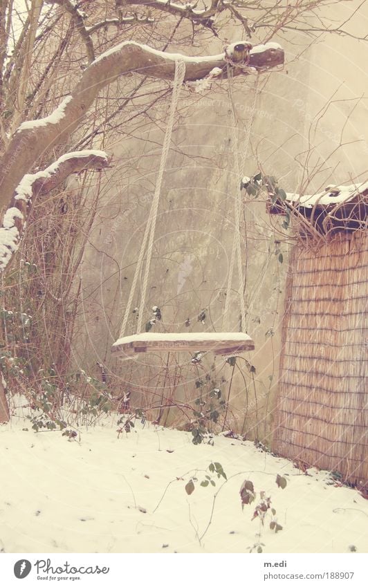 Schaukel Garten Schnee Baum schaukeln Spielen alt Farbfoto Außenaufnahme Menschenleer Textfreiraum unten Tag Profil