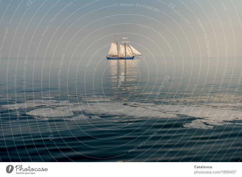 Geniessen | wenn die Zeit stehenbleibt Freude Freiheit Sommerurlaub Segeln Wasser Himmel Horizont Schönes Wetter Nordsee Segelschiff glänzend genießen schaukeln