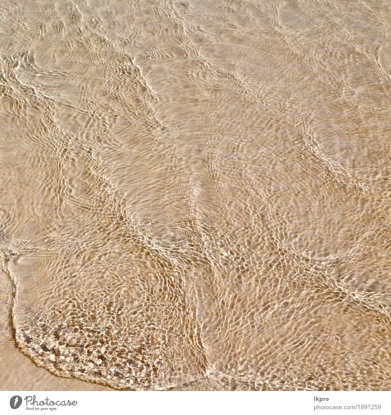 c Meer Ozean in Oman die Farbe Design schön Erholung Sommer Sonne Tapete Teich Stein Linie Flüssigkeit hell nass natürlich blau braun grün schwarz türkis weiß