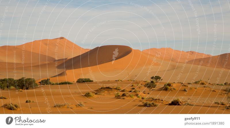 Sossusvlei (Namibia) Umwelt Natur Landschaft Pflanze Tier Urelemente Erde Sand Luft Himmel Wolken Sonne Sonnenlicht Sommer Herbst Schönes Wetter Wärme Dürre