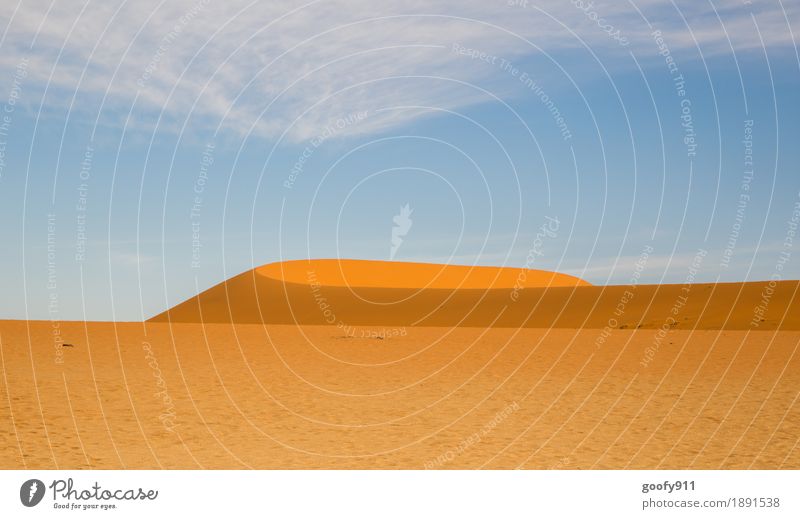 Sossusvlei (Namibia) Umwelt Natur Landschaft Urelemente Erde Sand Luft Himmel Wolken Sonnenlicht Sommer Schönes Wetter Wärme Dürre Hügel Wüste Düne Afrika