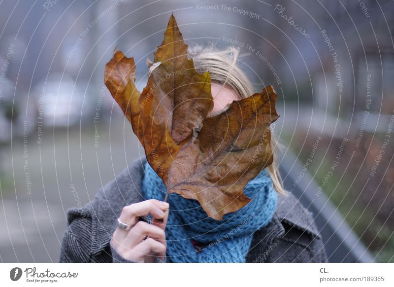 blatt vorm kopp Mensch feminin Kopf Haare & Frisuren Gesicht Hand 1 Umwelt Natur Herbst Winter schlechtes Wetter Wind Blatt beobachten entdecken Kommunizieren