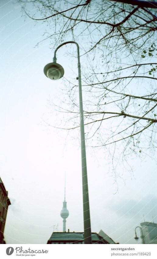 "man muss sein wie eine Lampe..... Sightseeing Häusliches Leben Wolkenloser Himmel Schönes Wetter Baum Park Berliner Fernsehturm Stadtzentrum Hochhaus Dach