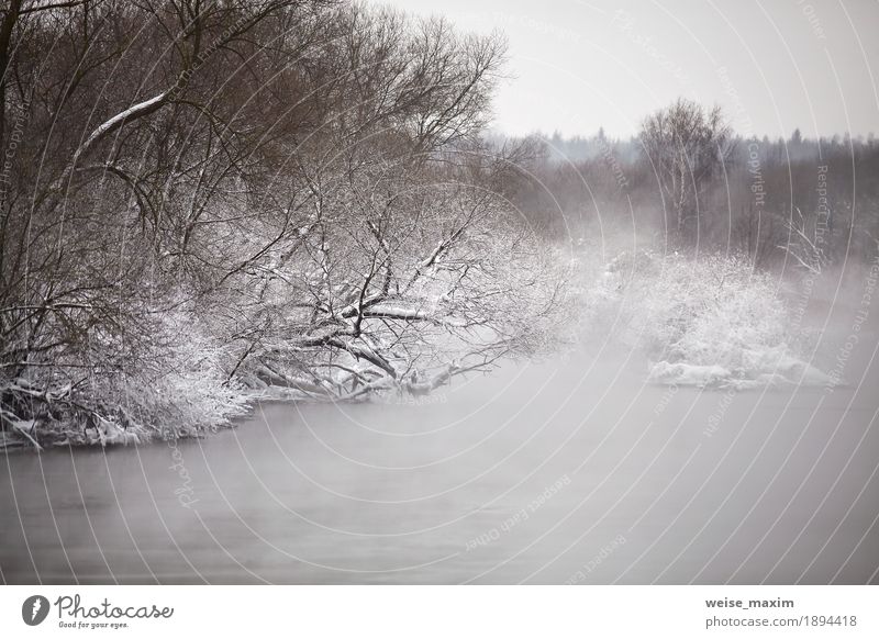 Schnee und Frost auf den Bäumen und den Büschen Ferien & Urlaub & Reisen Winter Natur Landschaft Pflanze Wolken Wetter Nebel Schneefall Baum Sträucher Park Wald