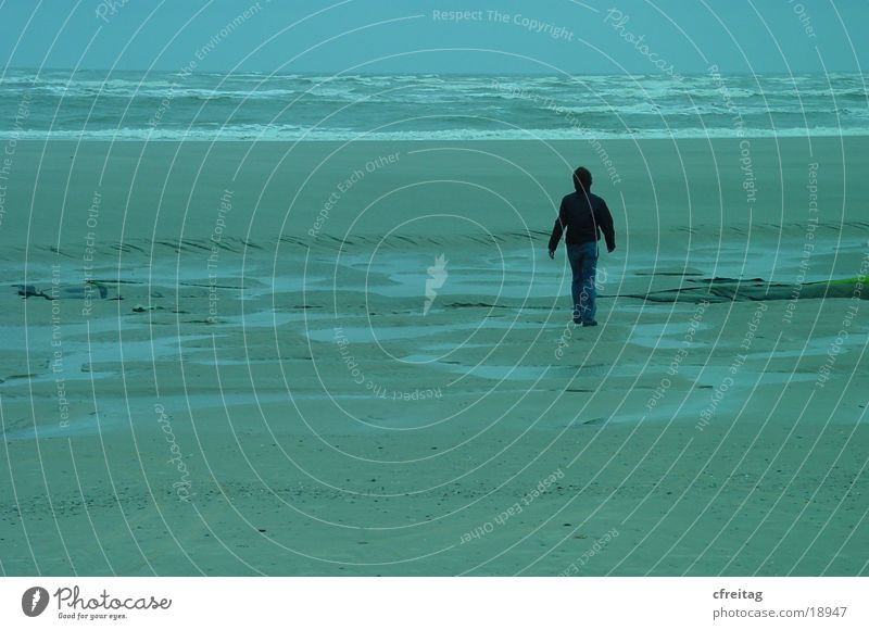 wo will er hin? Strand Langeoog Meer gehen Flucht Mensch Wege & Pfade Wasser nirgendwo laufen