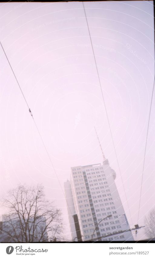 rosa brillen-versteckspiel. Sightseeing Wohnung Wolkenloser Himmel Herbst Winter Schönes Wetter Baum Hochhaus Gebäude Architektur Sehenswürdigkeit Wahrzeichen