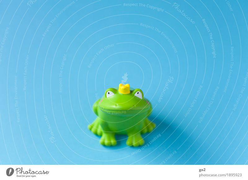 Sei kein Frosch Spielzeug Dekoration & Verzierung Kitsch Krimskrams Krone Zeichen Küssen Fröhlichkeit lustig blau grün Frühlingsgefühle Vorfreude Zusammensein
