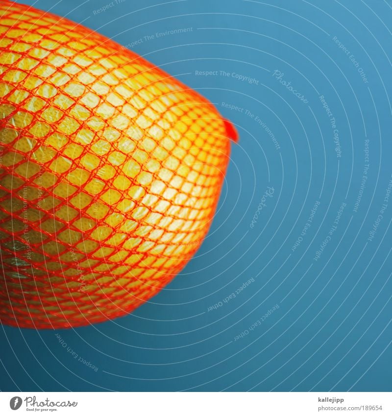 2800_dickes ding Lebensmittel Frucht Ernährung Bioprodukte Vegetarische Ernährung feminin Natur Netz Netzwerk Gesundheit Frauenbrust Pomelo Grapefruit orange
