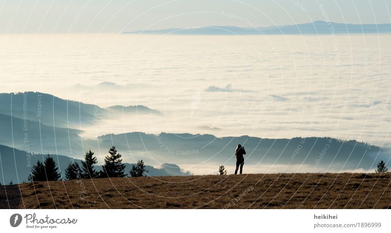 Über den Wolken Natur Landschaft Himmel Horizont Herbst Winter Schönes Wetter Nebel Baum Wiese Berge u. Gebirge Gipfel blau braun grün schwarz weiß Gefühle