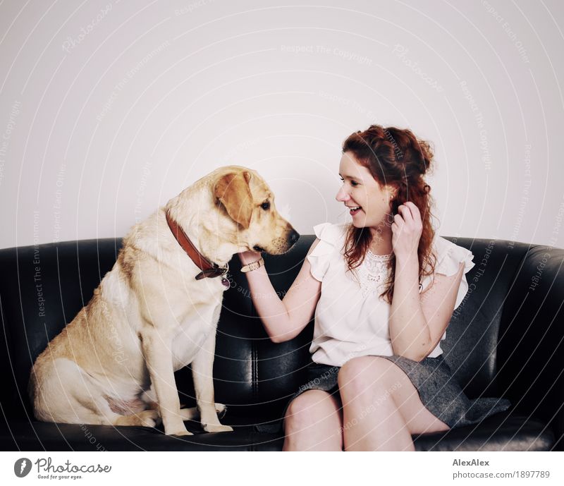 Dialog Freude Wohnung Sofa Junge Frau Jugendliche 18-30 Jahre Erwachsene T-Shirt Rock rothaarig langhaarig Haustier Hund Labrador sprechen Kommunizieren Lächeln