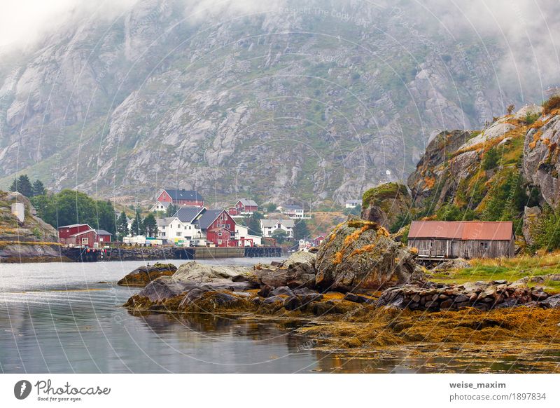 Norwegen-Dorf an einem Fjord. Nordischer bewölkter Sommertag Ferien & Urlaub & Reisen Tourismus Ausflug Abenteuer Freiheit Meer Insel Berge u. Gebirge