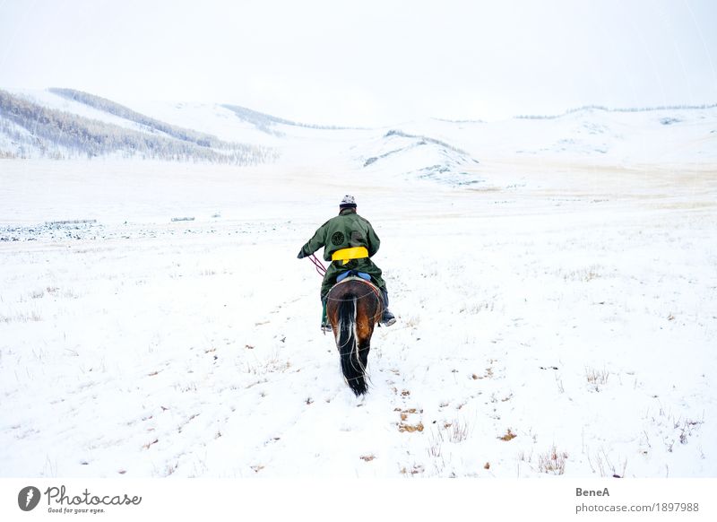 Mann mit Pferd in winterlicher Steppe mit Schnee, Mongolei Winter Abenteuer Einsamkeit entdecken Freiheit Mobilität Natur Ferien & Urlaub & Reisen Tradition