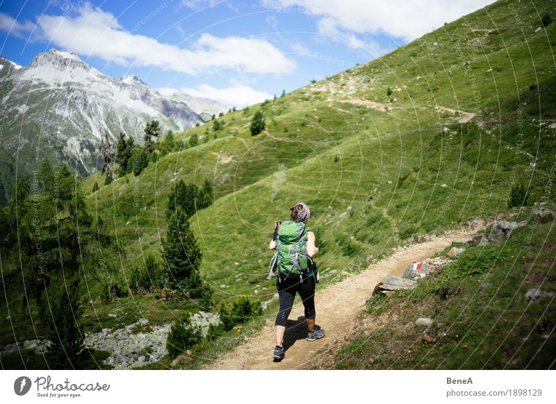 Frau mit Rucksack macht Bergwanderung im Vinschgau, Italien Sport Mensch Erwachsene Natur gehen wandern Einsamkeit Erholung Freizeit & Hobby Freude