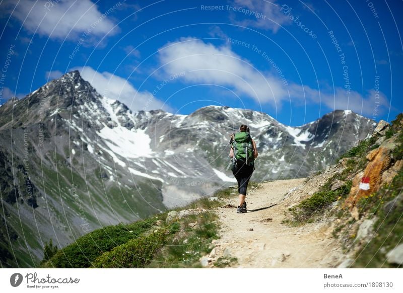 Frau mit Rucksack macht Bergwanderung im Vinschgau, Italien Sport Mensch Erwachsene Natur gehen wandern Erholung Freizeit & Hobby Ferien & Urlaub & Reisen alpin
