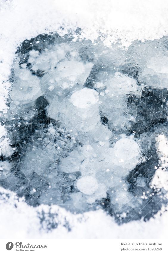ice ice baby* Umwelt Natur Landschaft Urelemente Luft Wasser Winter Eis Frost Teich See Bach Fluss kalt Eisscholle Schnee Luftblase blackice gefroren