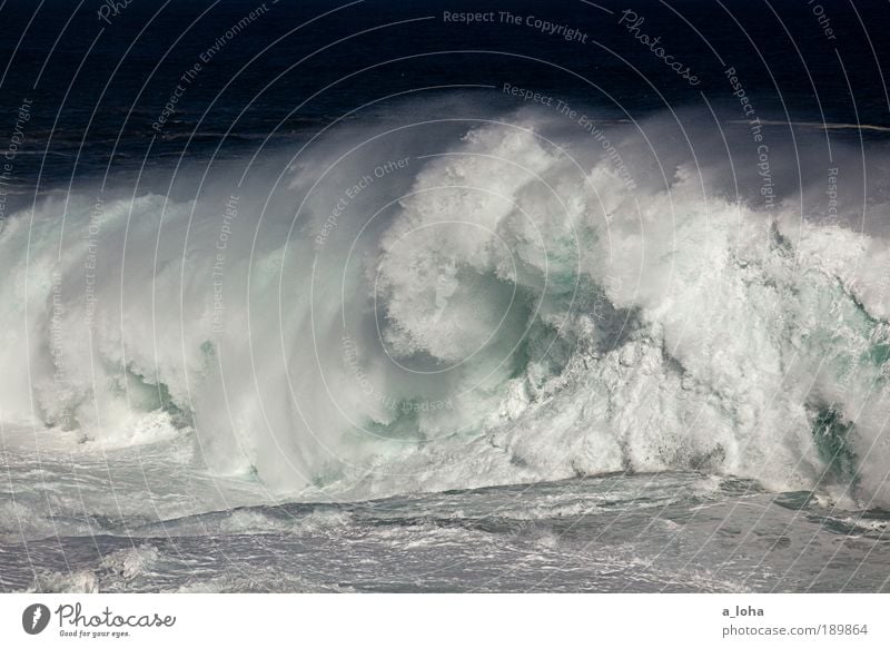 not for surfing Urelemente Wasser Wellen Küste Meer Tropfen Bewegung außergewöhnlich Flüssigkeit gigantisch groß hoch nass Geschwindigkeit Fernweh chaotisch