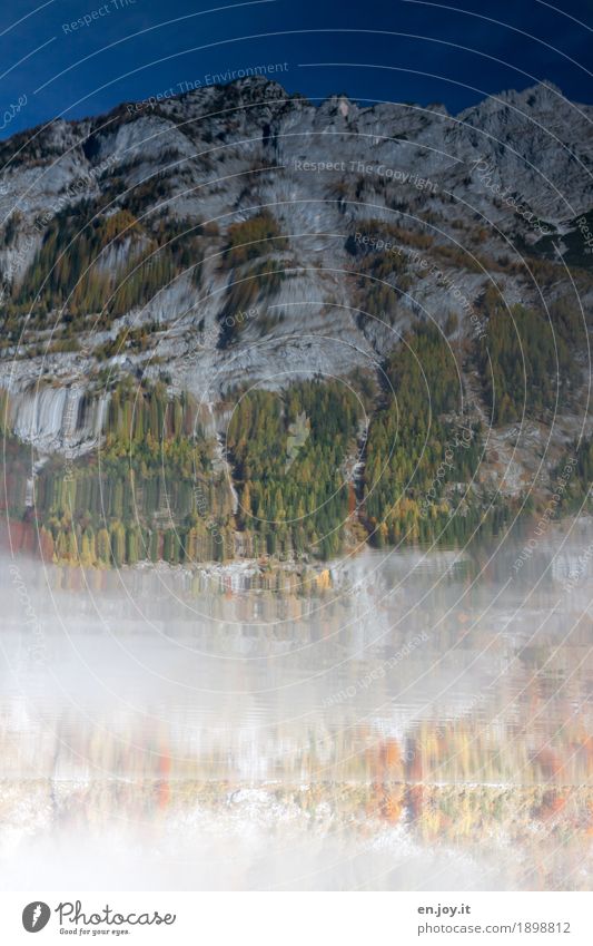 Orientierung | slos Natur Landschaft Urelemente Wasser Wolkenloser Himmel Herbst Nebel Wald Felsen Alpen Berge u. Gebirge Berchtesgadener Alpen Seeufer