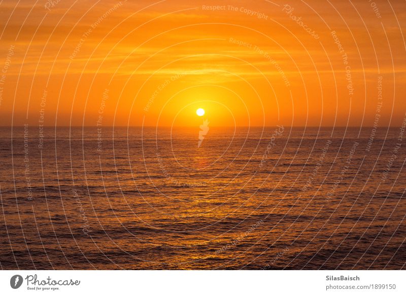 Sonnenaufgang und der Ozean Lifestyle Reichtum exotisch Natur Landschaft Wasser Sonnenuntergang Sonnenlicht Schönes Wetter Wellen Küste ästhetisch elegant