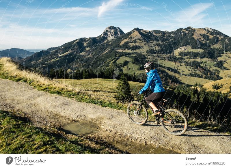 Mountain Bike Fahrerin am Sudelfeld mit Blick auf Wendelstein Sport Frau Erwachsene Natur fahren Fitness erleben Freizeit & Hobby Freude alpin Deutschland