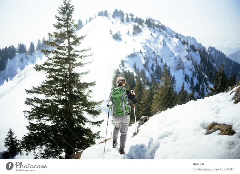 Frau wandert durch verschneite Berglandschaft des Hochries Erholung Ferien & Urlaub & Reisen Winter Sport Erwachsene Natur Fitness Bewegung entdecken Erfahrung