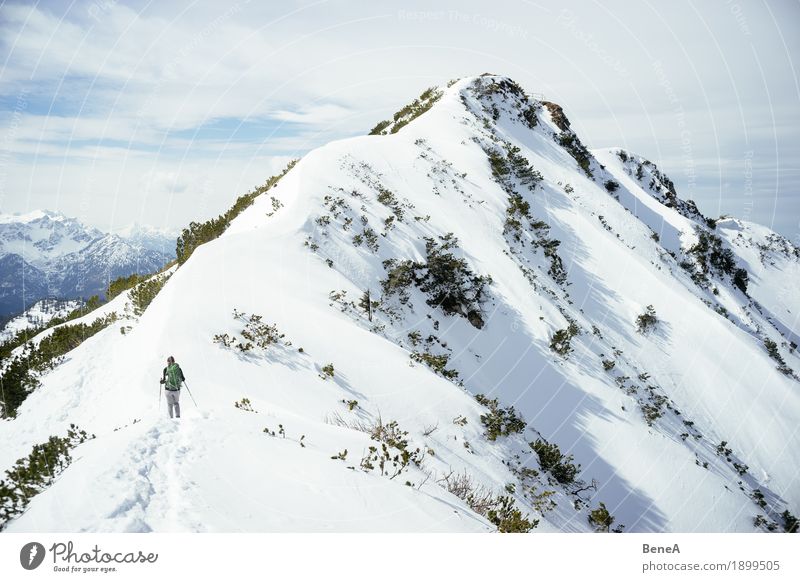 Frau wandert zum winterlichen Gipfel des Herzogstand im Schnee Erholung Ferien & Urlaub & Reisen Winter Sport Erwachsene Natur Fitness Abenteuer erleben