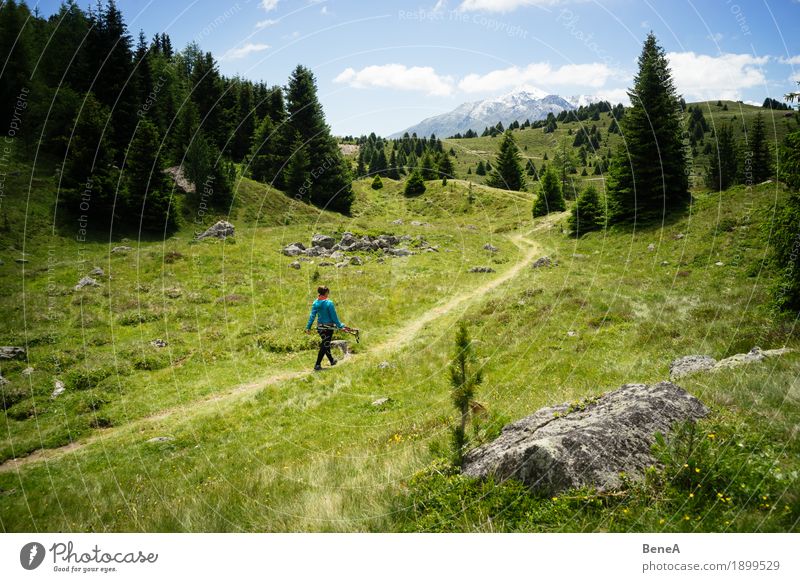 Frau wandert durch den Plamorter Boden, Vinschgau, Italien Sport Mensch Erwachsene Natur Moor Sumpf gehen wandern Erholung Freizeit & Hobby Wege & Pfade Ferne
