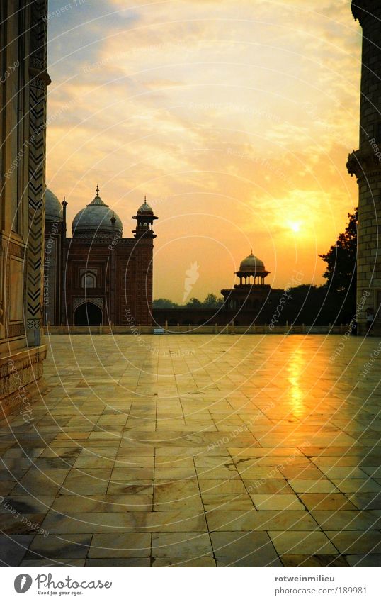 Krone des Ortes Indien Menschenleer Bauwerk Architektur Fassade Taj Mahal Lebensfreude Kraft Macht Warmherzigkeit Glaube ästhetisch mehrfarbig Außenaufnahme