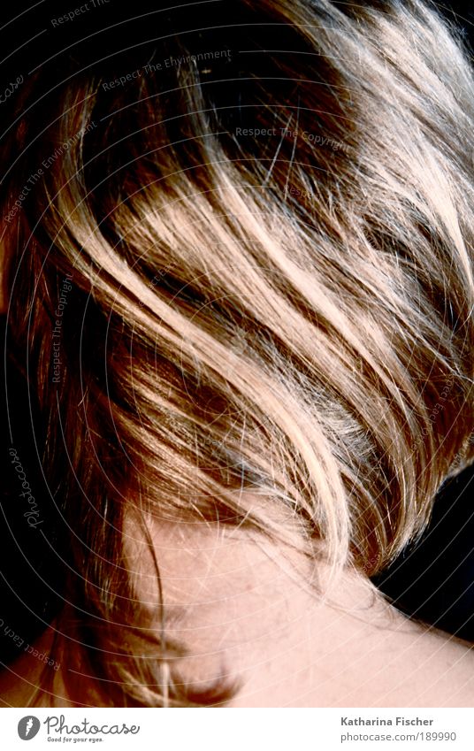 High-Lights Stil schön Haare & Frisuren feminin Junge Frau Jugendliche Erwachsene Kopf Nacken 1 Mensch Kunst brünett blond langhaarig Strähnchen Haarsträhne