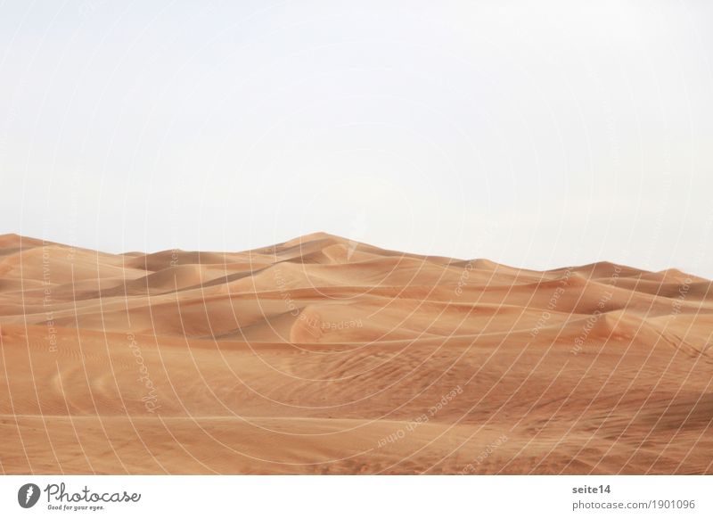 Sand Düne, Sanddüne, Wüste Stranddüne Wärme heiß Klimawandel Dubai Abu Dhabi Vereinigte Arabische Emirate wandern Wandel & Veränderung Wanderausflug Expedition