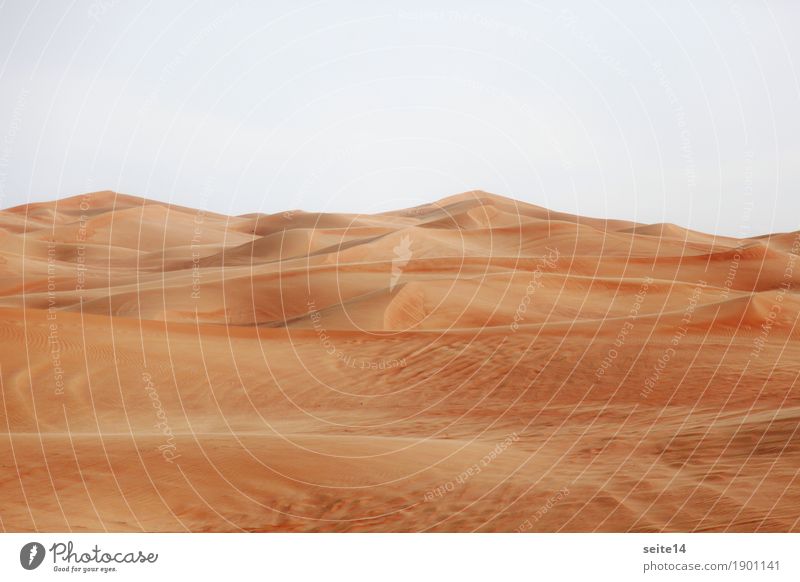 Sand Düne, Sanddüne, Wüste Stranddüne Wärme heiß Klimawandel Dubai Abu Dhabi Vereinigte Arabische Emirate wandern Wandel & Veränderung Wanderausflug Expedition