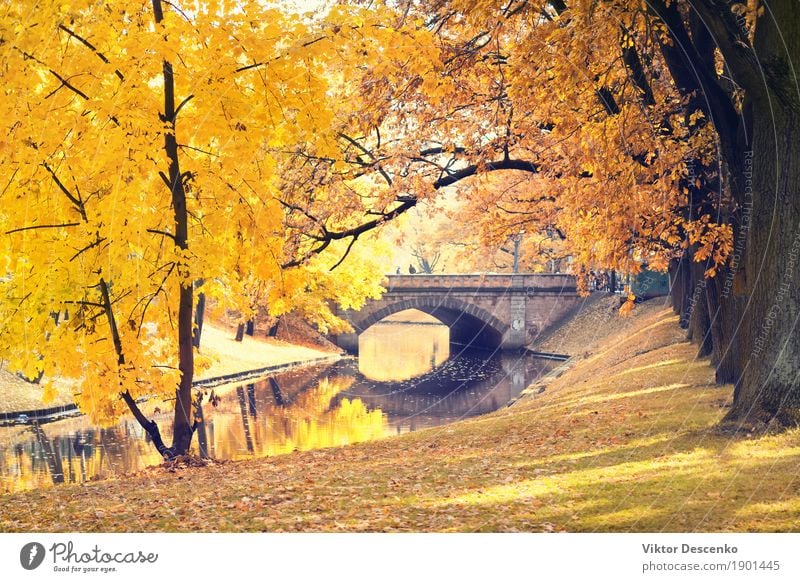 Riga City Canal und Brücke schön Sonne Garten Natur Landschaft Herbst Baum Blatt Park Wald Ostsee Straße natürlich gelb gold grün Farbe zentral fallen